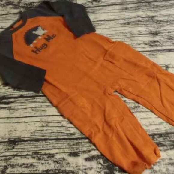 Gymboree Forest Rascals 18-24 Month One Piece Outfit NWT. LOCATED BIN Q - Picture 1 of 3
